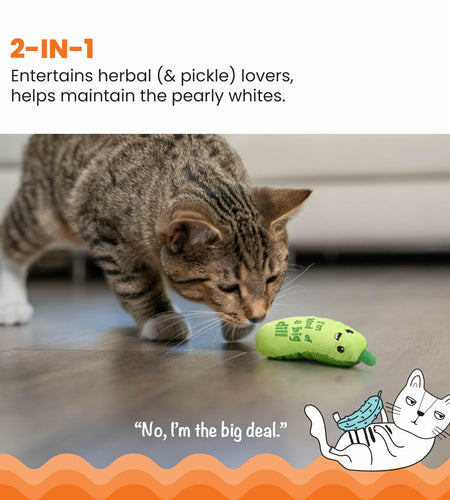 Catstages Crunchy Pickle Kicker Cat Toy with Catnip Dental Mesh Green