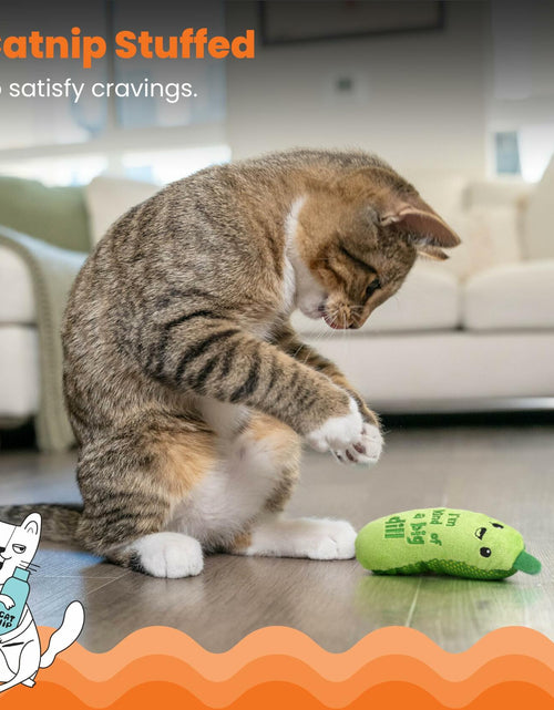 Load image into Gallery viewer, Catstages Crunchy Pickle Kicker Cat Toy with Catnip Dental Mesh Green
