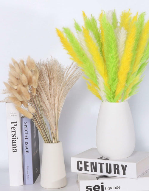 Load image into Gallery viewer, CeiooCei Colorful Pampas Grass Decor 17" White Yellow Light Green Dried
