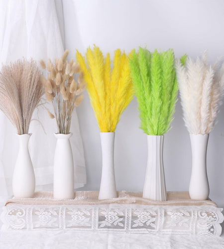 CeiooCei Colorful Pampas Grass Decor 17" White Yellow Light Green Dried