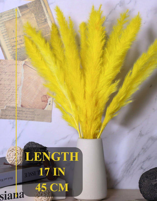Load image into Gallery viewer, CeiooCei Colorful Pampas Grass Decor 17" White Yellow Light Green Dried
