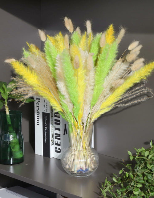Load image into Gallery viewer, CeiooCei Colorful Pampas Grass Decor 17" White Yellow Light Green Dried
