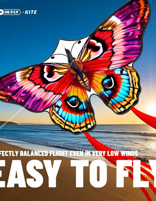 Load image into Gallery viewer, DoinFly Butterflys Kids Kite Easy Fly w/ 328ft Line &amp; Winder Red 1 Pack
