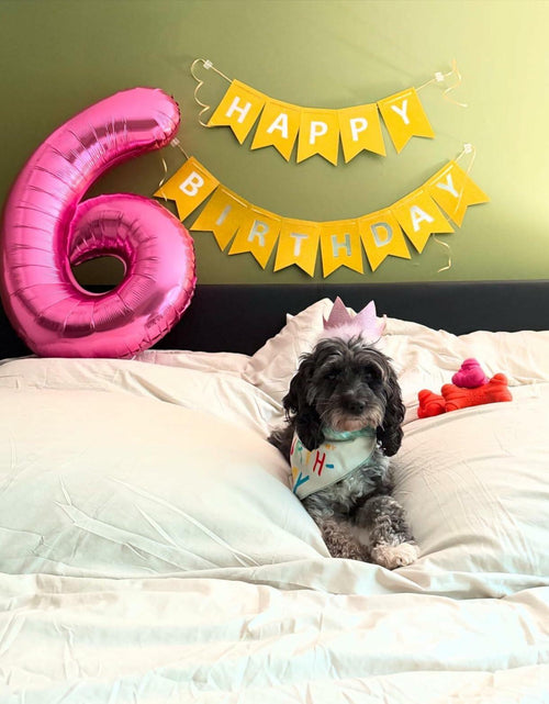 Load image into Gallery viewer, 40in Pink Number 9 Balloon Large Foil Birthday Decoration for Men Women Kids
