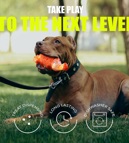 Zimoric Tough Dog Chew Toy Durable Interactive Treat Dispensing Medium Large