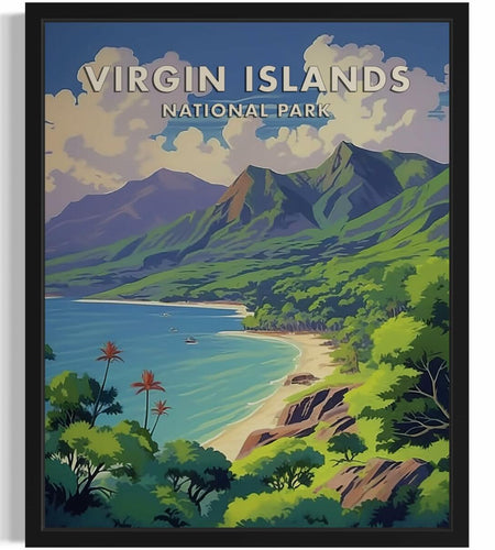 HomeArtPrint Virgin Islands National Park Retro Poster 8x10 Unframed
