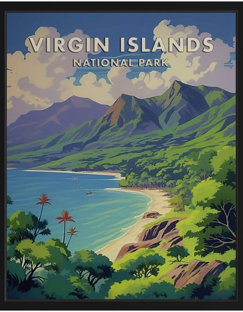 Load image into Gallery viewer, HomeArtPrint Virgin Islands National Park Retro Poster 8x10 Unframed
