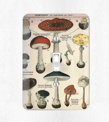 Define Design 11 Mushroom Light Switch Cover Vintage Botanical French