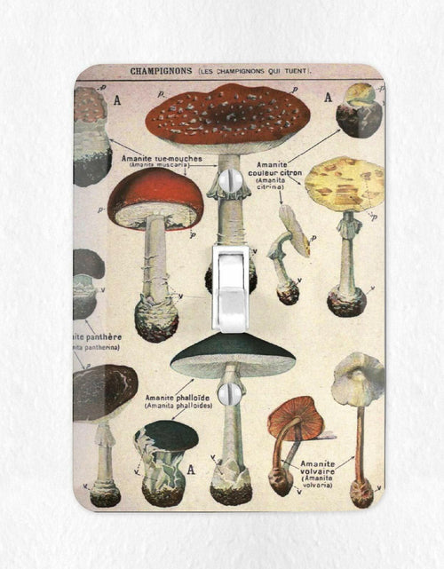 Load image into Gallery viewer, Define Design 11 Mushroom Light Switch Cover Vintage Botanical French
