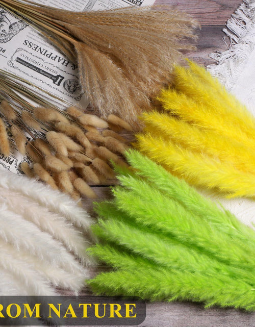 Load image into Gallery viewer, CeiooCei Colorful Pampas Grass Decor 17" White Yellow Light Green Dried
