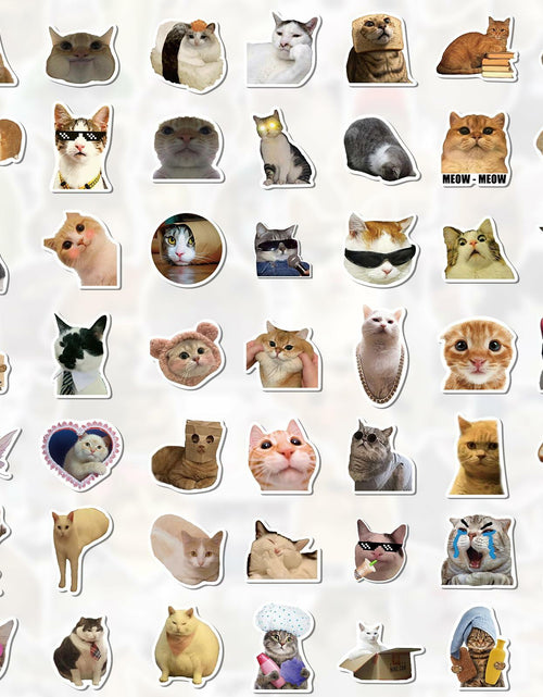 Load image into Gallery viewer, GizmoBox 100pcs Cute Cat Meme Stickers Waterproof Vinyl Decals for Laptop Kids

