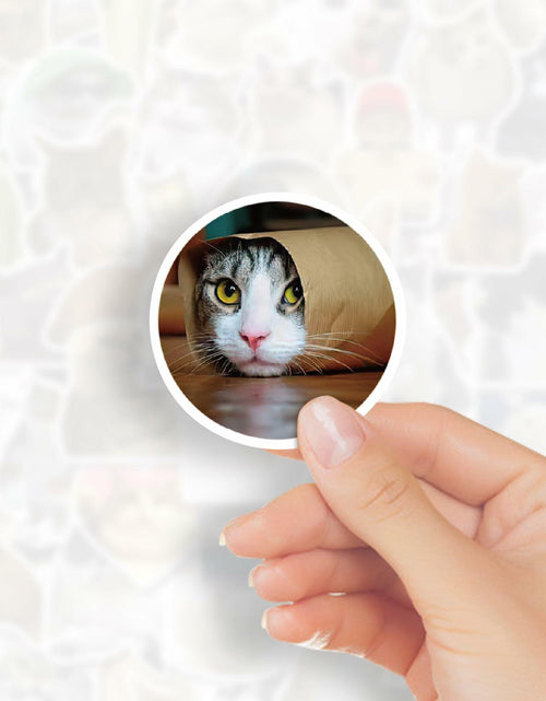 Load image into Gallery viewer, GizmoBox 100pcs Cute Cat Meme Stickers Waterproof Vinyl Decals for Laptop Kids
