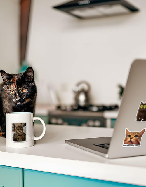 Load image into Gallery viewer, GizmoBox 100pcs Cute Cat Meme Stickers Waterproof Vinyl Decals for Laptop Kids
