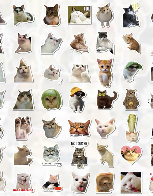 Load image into Gallery viewer, GizmoBox 100pcs Cute Cat Meme Stickers Waterproof Vinyl Decals for Laptop Kids
