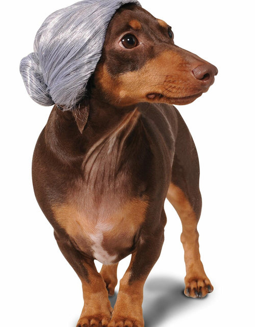 Load image into Gallery viewer, Rubies Rastafarian Pet Costume for Dogs or Cats Size XL
