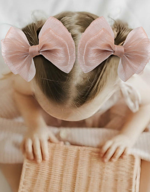 Load image into Gallery viewer, YanJie Baby Girls Hair Bows Pink Blue Tulle Lace Clips Pack of 2
