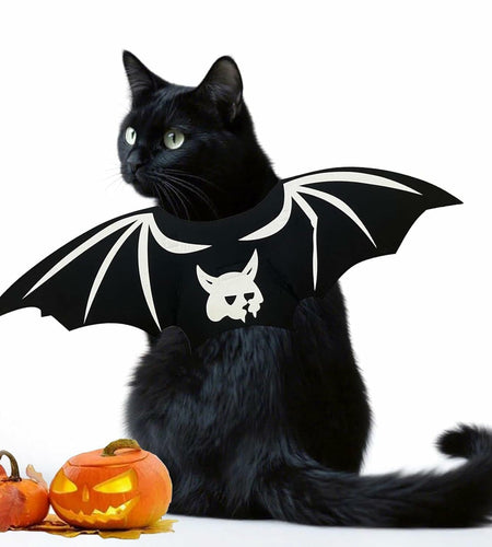 Velthorix Cat Halloween Costume Bat Wings Pet Cosplay Accessories Small