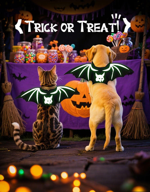 Load image into Gallery viewer, Velthorix Cat Halloween Costume Bat Wings Pet Cosplay Accessories Small
