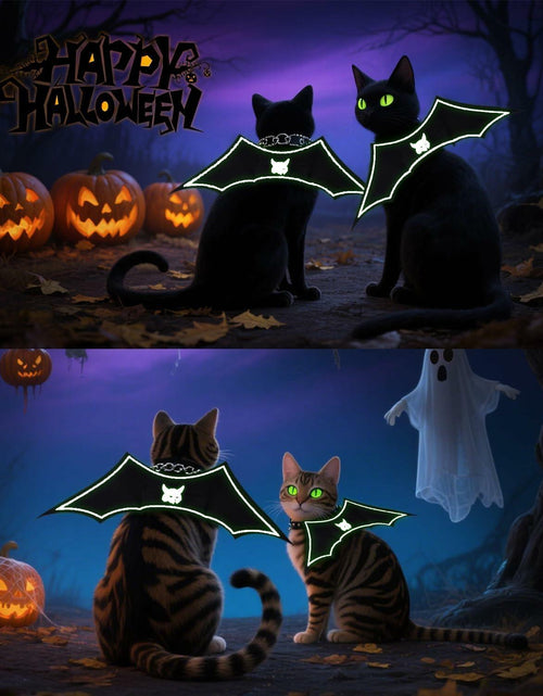 Load image into Gallery viewer, Velthorix Cat Halloween Costume Bat Wings Pet Cosplay Accessories Small
