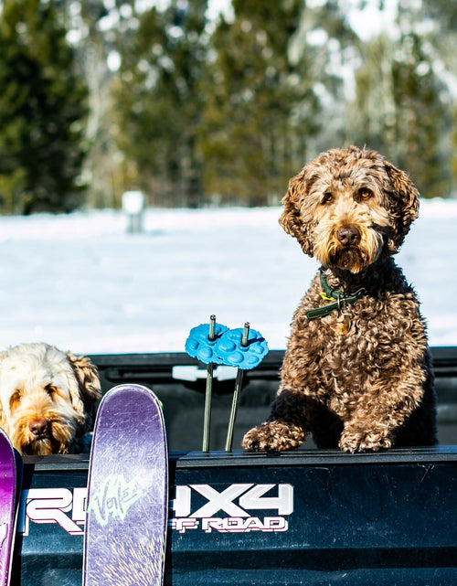 Load image into Gallery viewer, Stoke Tracks Mountain Lion Paw Ski Pole Baskets Lion Aubergine
