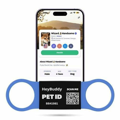 Load image into Gallery viewer, HeyBuddy Slide Series QR Code Smart Pet Tag Stainless Steel Blue
