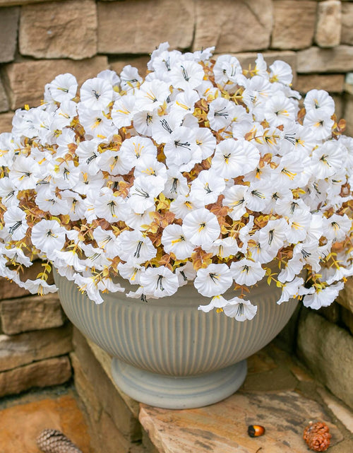 Load image into Gallery viewer, HyeFlora Fake Mums Artificial Fall Flowers 12 Bundles White Silk Morning Glory
