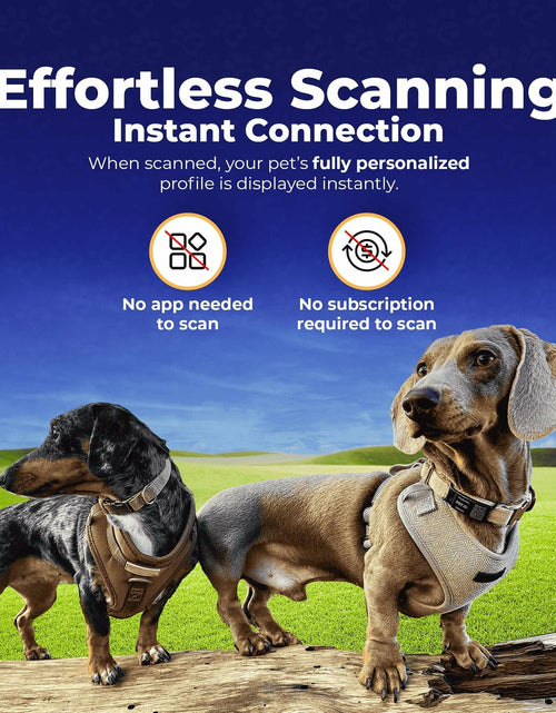 Load image into Gallery viewer, HeyBuddy Slide Series QR Code Smart Pet Tag Stainless Steel Blue
