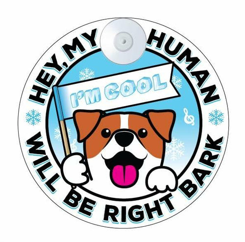 Load image into Gallery viewer, Generic I'M COOL Car Sign Pet Safety Alert Vinyl White/Blue Auto Accessory
