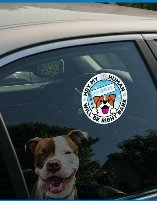 Load image into Gallery viewer, Generic I'M COOL Car Sign Pet Safety Alert Vinyl White/Blue Auto Accessory
