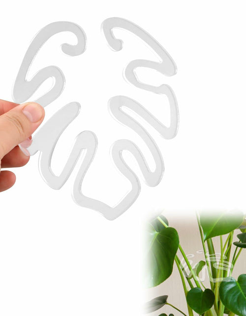 Load image into Gallery viewer, PEUTIER Monstera Acrylic Plant Stand Flower Shape Indoor Outdoor A Style
