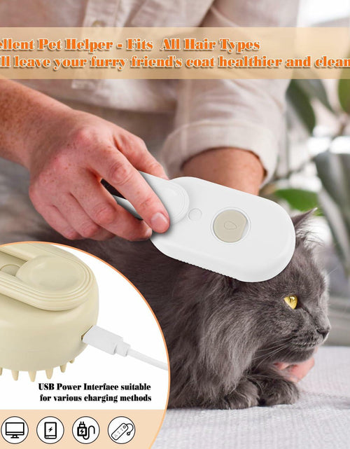 Load image into Gallery viewer, Ayaseen Cat Steam Brush 2PCS Rechargeable Flea Anti-Static Massage Comb
