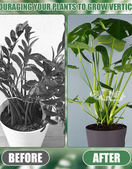 Load image into Gallery viewer, PEUTIER Monstera Acrylic Plant Stand Flower Shape Indoor Outdoor A Style
