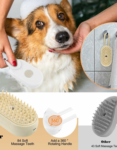 Load image into Gallery viewer, Ayaseen Cat Steam Brush 2PCS Rechargeable Flea Anti-Static Massage Comb
