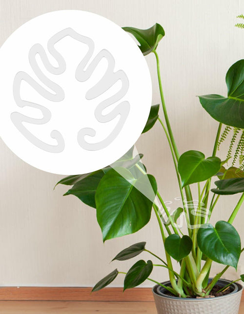 Load image into Gallery viewer, PEUTIER Monstera Acrylic Plant Stand Flower Shape Indoor Outdoor A Style
