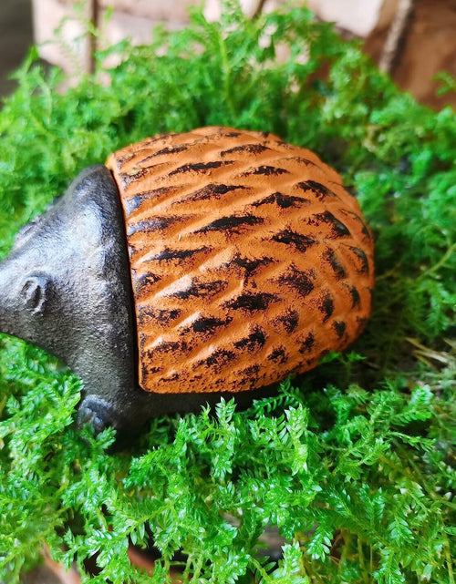 Load image into Gallery viewer, BSTWISH Iron Hedgehog Key Hider Outdoor Garden Decoration Red
