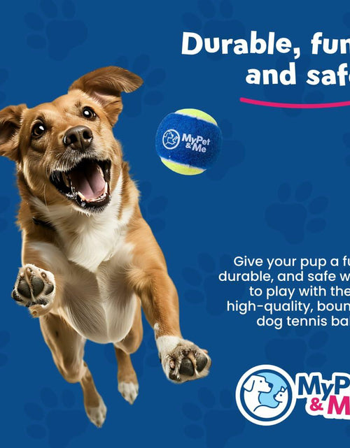 Load image into Gallery viewer, My Pet &amp; Me Dog Tennis Balls 2.5-Inch Soft Lightweight Indoor Outdoor 3 Pack
