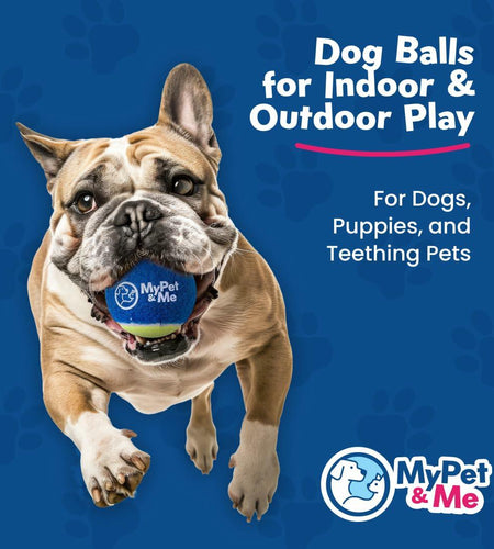 My Pet & Me Dog Tennis Balls 2.5-Inch Soft Lightweight Indoor Outdoor 3 Pack