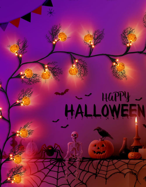 Load image into Gallery viewer, Slixune 6FT Halloween Willow Vine Twig Garland 45 LED Orange Lights
