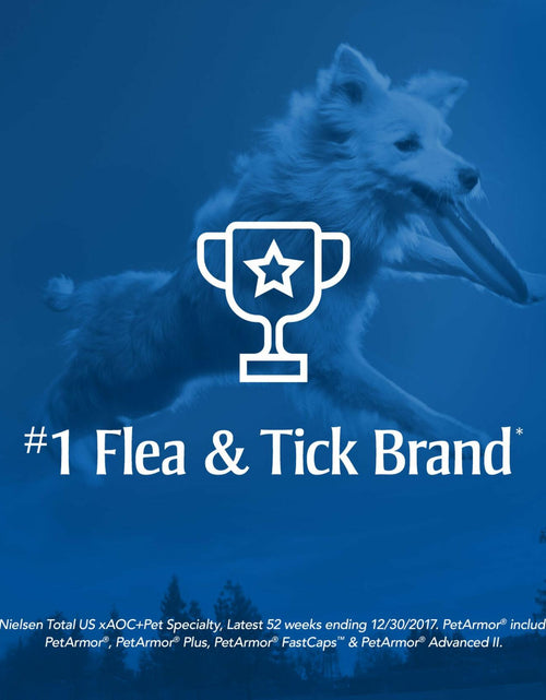 Load image into Gallery viewer, PETARMOR Home Carpet Powder Fleas Ticks Protection Deodorizer 16 Ounce
