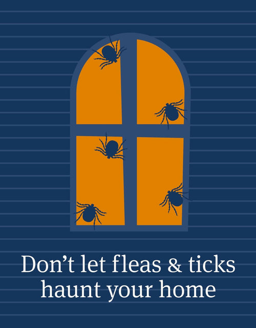 Load image into Gallery viewer, PETARMOR Home Carpet Powder Fleas Ticks Protection Deodorizer 16 Ounce
