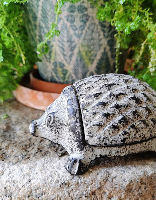 Load image into Gallery viewer, BSTWISH Iron Hedgehog Key Hider Outdoor Garden Decoration Gray
