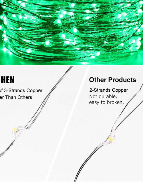 Load image into Gallery viewer, ER CHEN Green LED String Lights 99ft 300 LED Dimmable Silver Wire Remote

