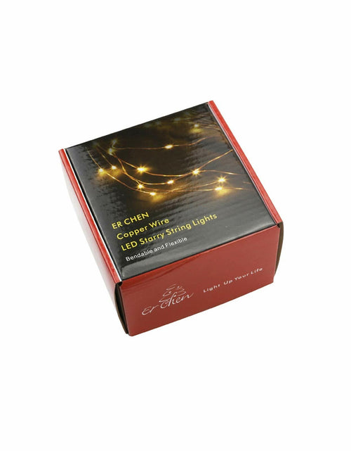 Load image into Gallery viewer, ER CHEN Green LED String Lights 99ft 300 LED Dimmable Silver Wire Remote
