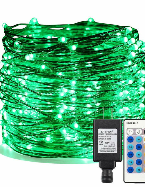 Load image into Gallery viewer, ER CHEN Green LED String Lights 99ft 300 LED Dimmable Silver Wire Remote
