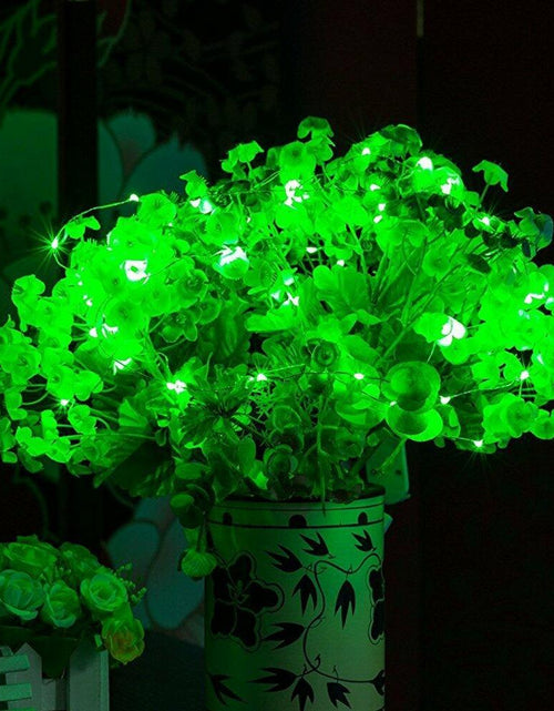 Load image into Gallery viewer, ER CHEN Green LED String Lights 99ft 300 LED Dimmable Silver Wire Remote
