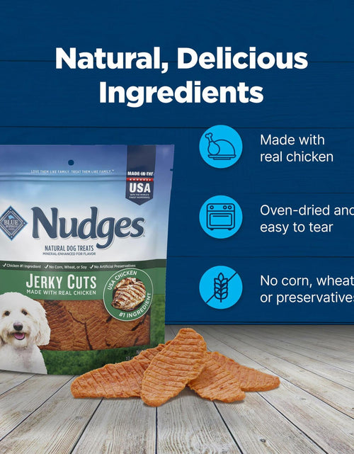 Load image into Gallery viewer, BestBy11/28/2025 Blue Buffalo Nudges Jerky Cuts Dog Treats Chicken 10oz USA
