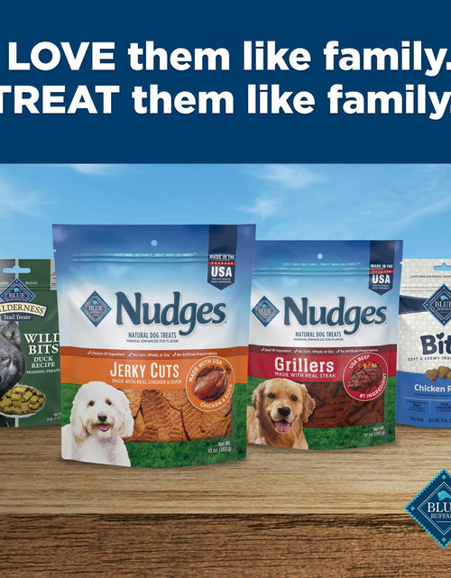 Load image into Gallery viewer, BestBy11/28/2025 Blue Buffalo Nudges Jerky Cuts Dog Treats Chicken 10oz USA
