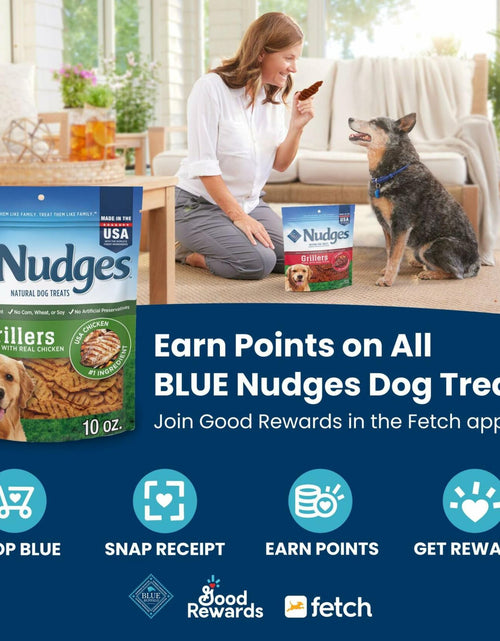 Load image into Gallery viewer, BestBy11/28/2025 Blue Buffalo Nudges Jerky Cuts Dog Treats Chicken 10oz USA
