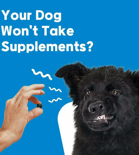 BestBy01/26 NeLM Dog Vitamins Multivitamin Eye Hip Joint Gut Dental 30 Strips