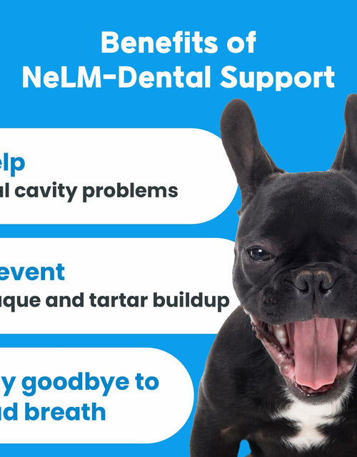 Load image into Gallery viewer, BestBy01/26 NeLM Dog Vitamins Multivitamin Eye Hip Joint Gut Dental 30 Strips
